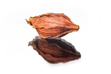 《超级机器人大战30》于12月10日进行直播 届时公开最新情报